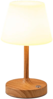 shower lamp!
