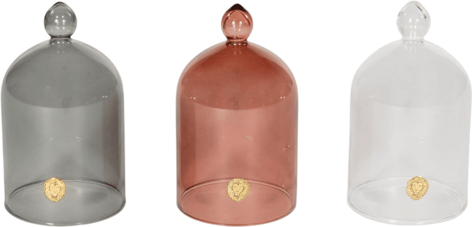 Alice Lane Home Collection Glass Cloche