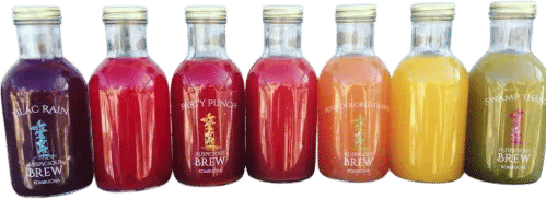 Auspicious Brew Kombucha Brewery