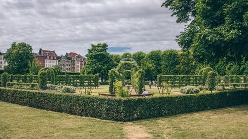The King's Garden