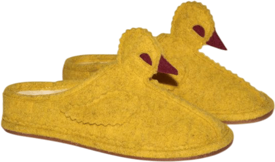 Duck Slipper