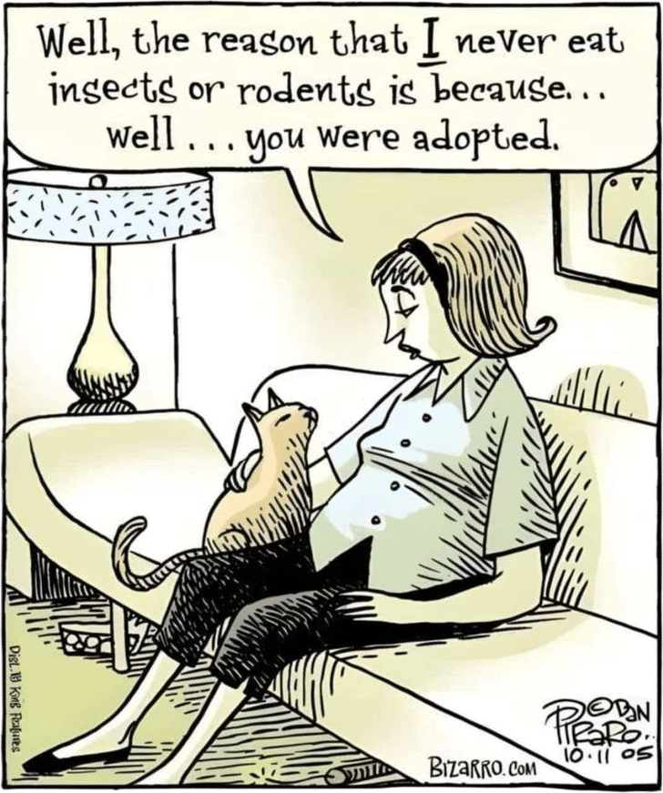 You Were Adopted (Dan Piraro, Bizarro)