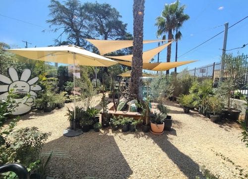 Creature's Plants & Coffee