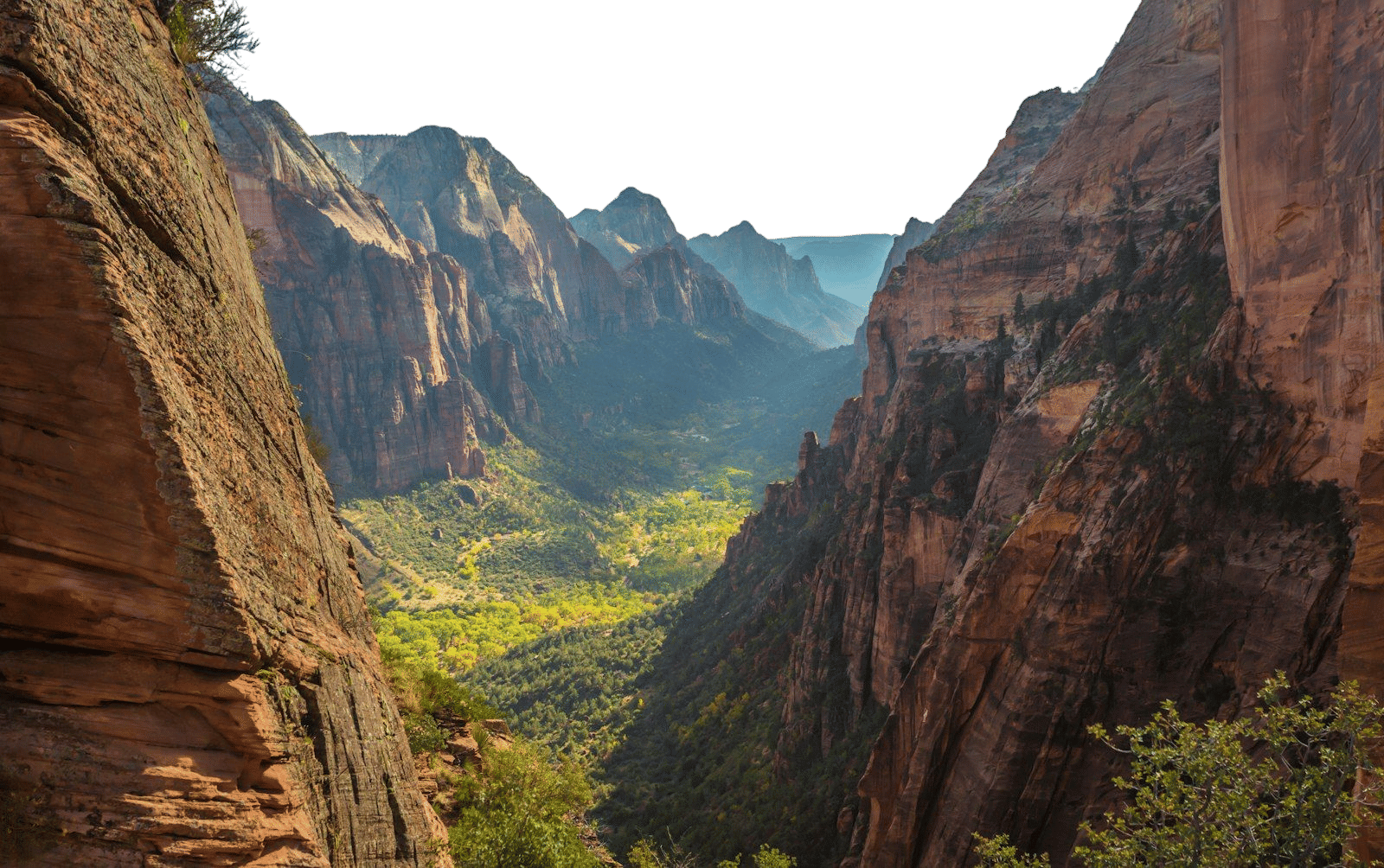 Donation in his name to National Parks Foundation
