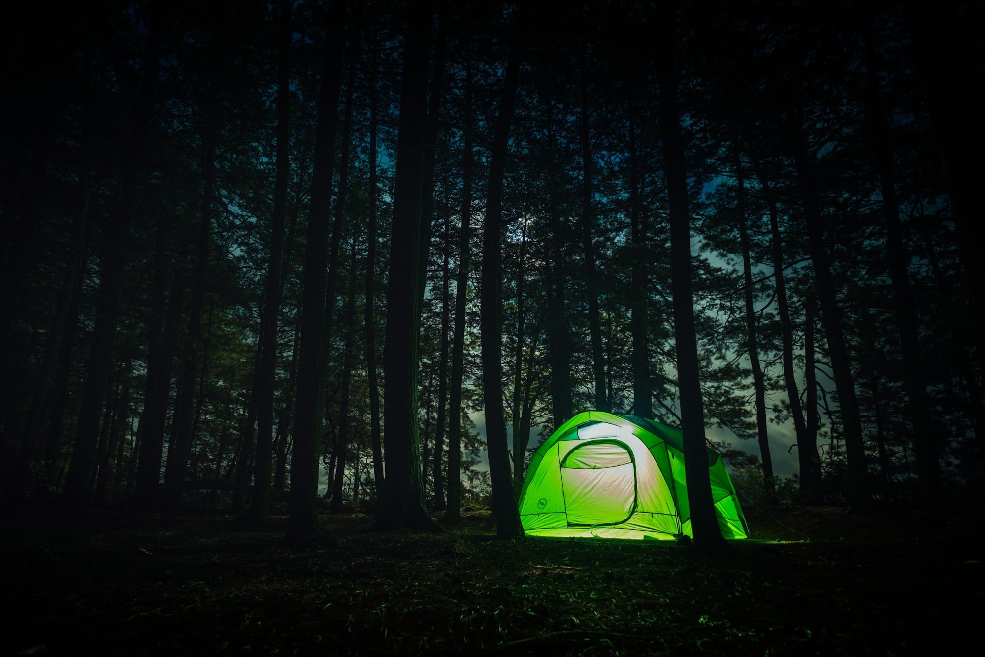 Read out loud to each other on roadtrips or when camping