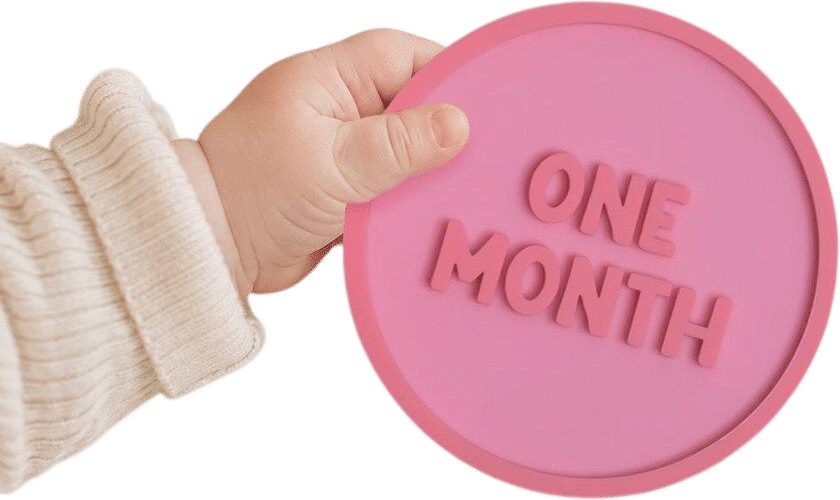 Baby Milestone Disc Set (12 pack)