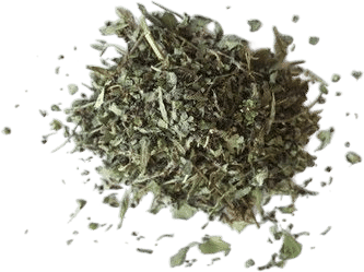 Holy Basil (Tulsi) Tea
