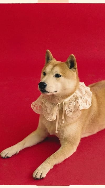 FREN