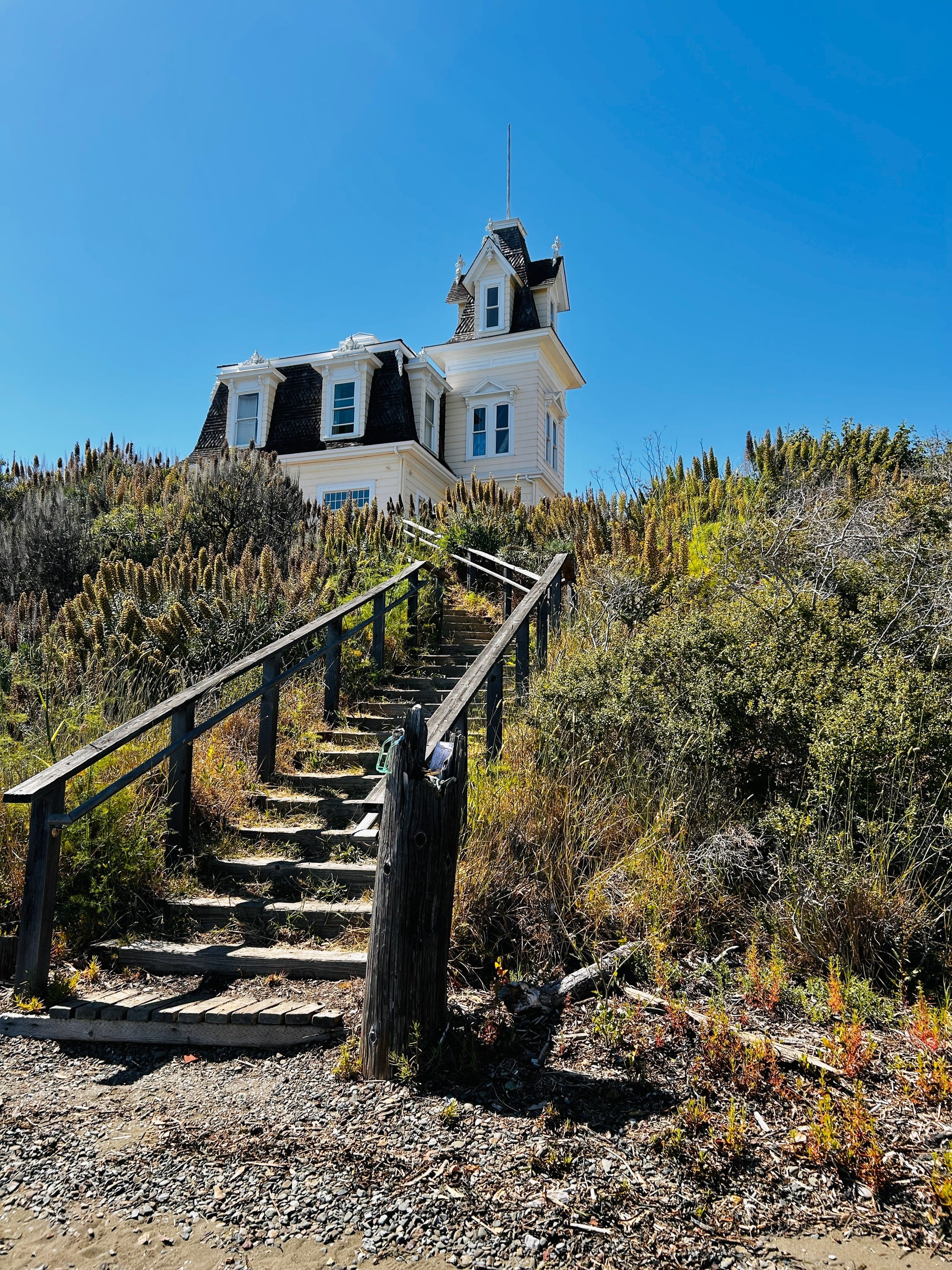 Richardson Bay Audubon Center and Sanctuary