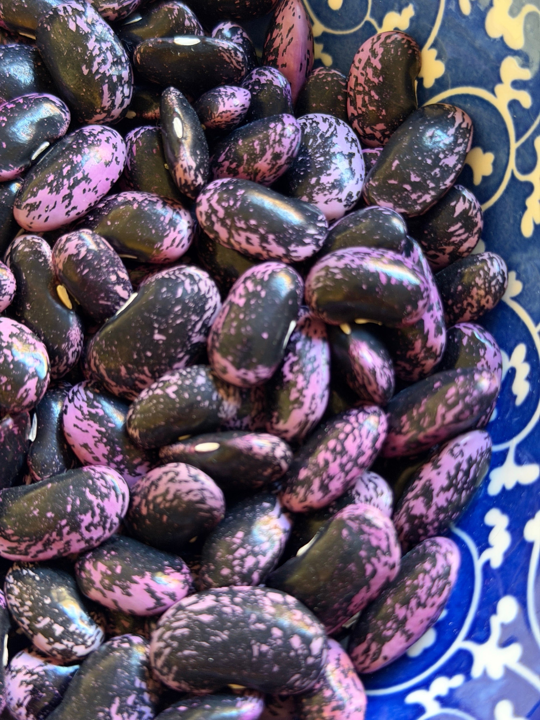 Scarlet runner beans