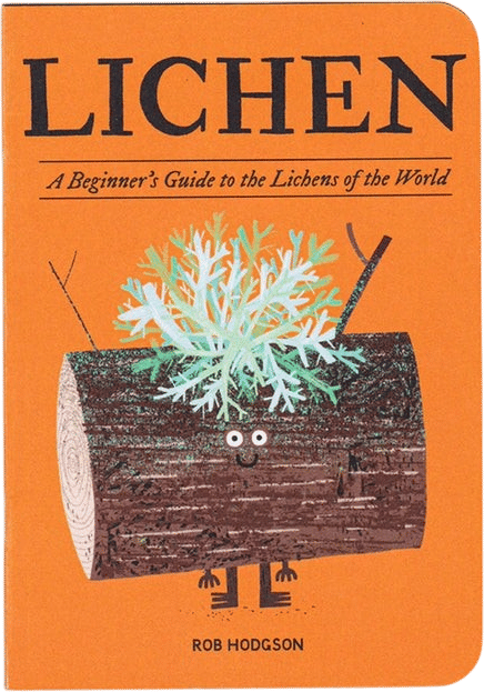 Lichen by Rob Hodgson