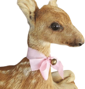 Antique Taxidermy Fawn 
