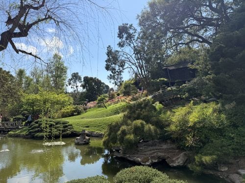 Huntington Library and Gardens