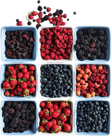 Berry Box Porcelain Colander