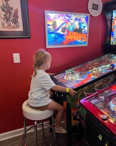 Pinball Palace