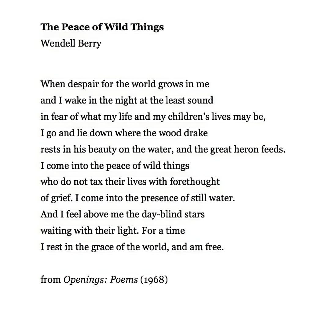 The Peace of Wild Things