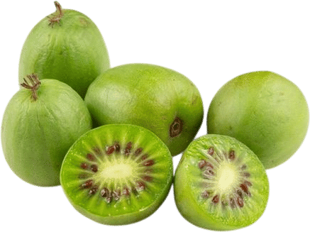 kiwi berries