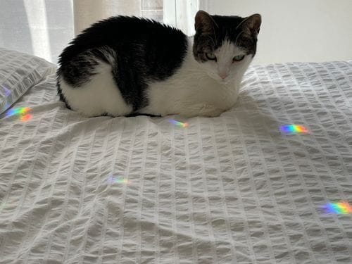 Suncatcher Rainbow Prisms