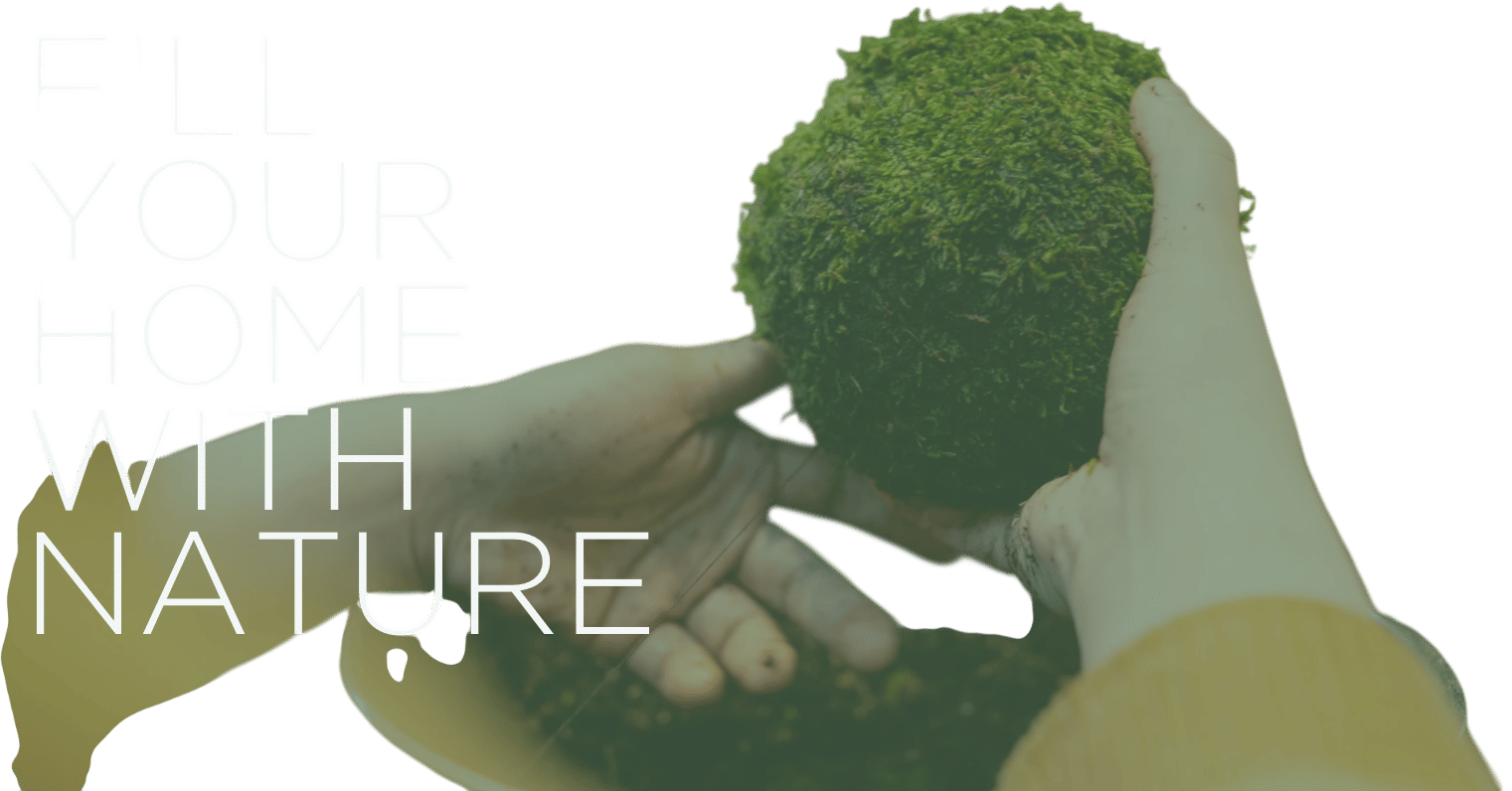 Kubode Plants & Design