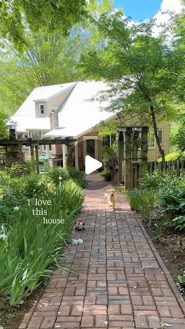 Home in the Hemlocks