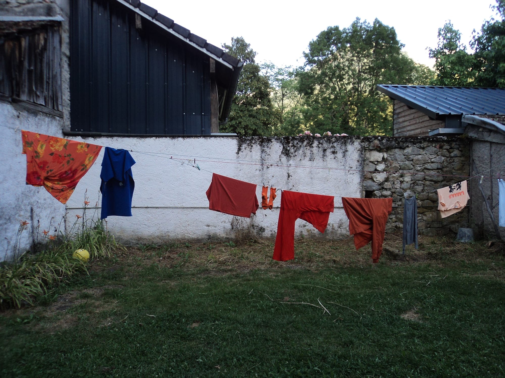 Digging with Laraaji and Flo
