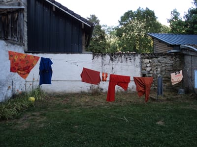 Digging with Laraaji and Flo