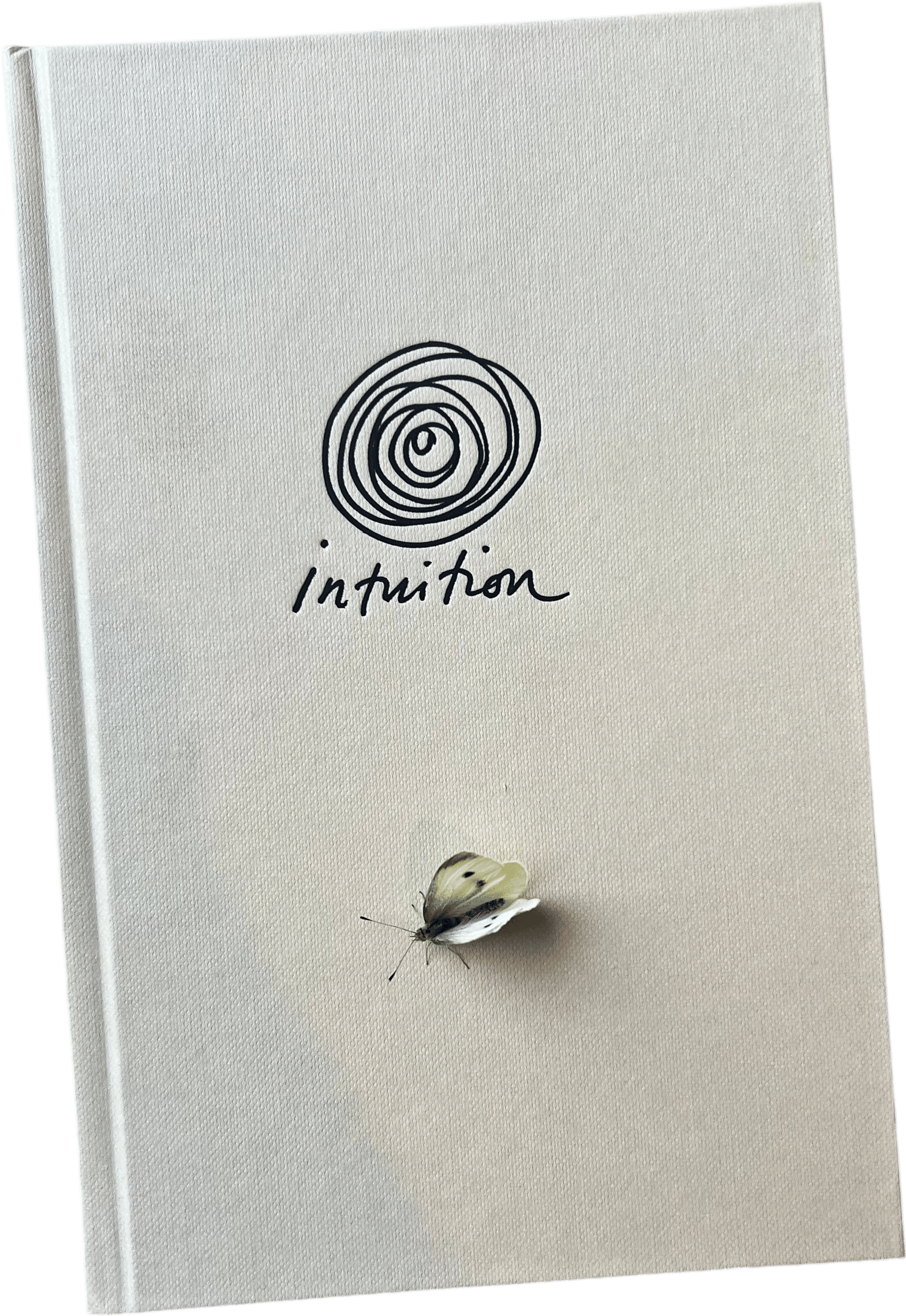 Intuition, Lily Ashley