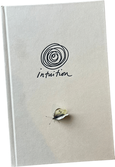 Intuition