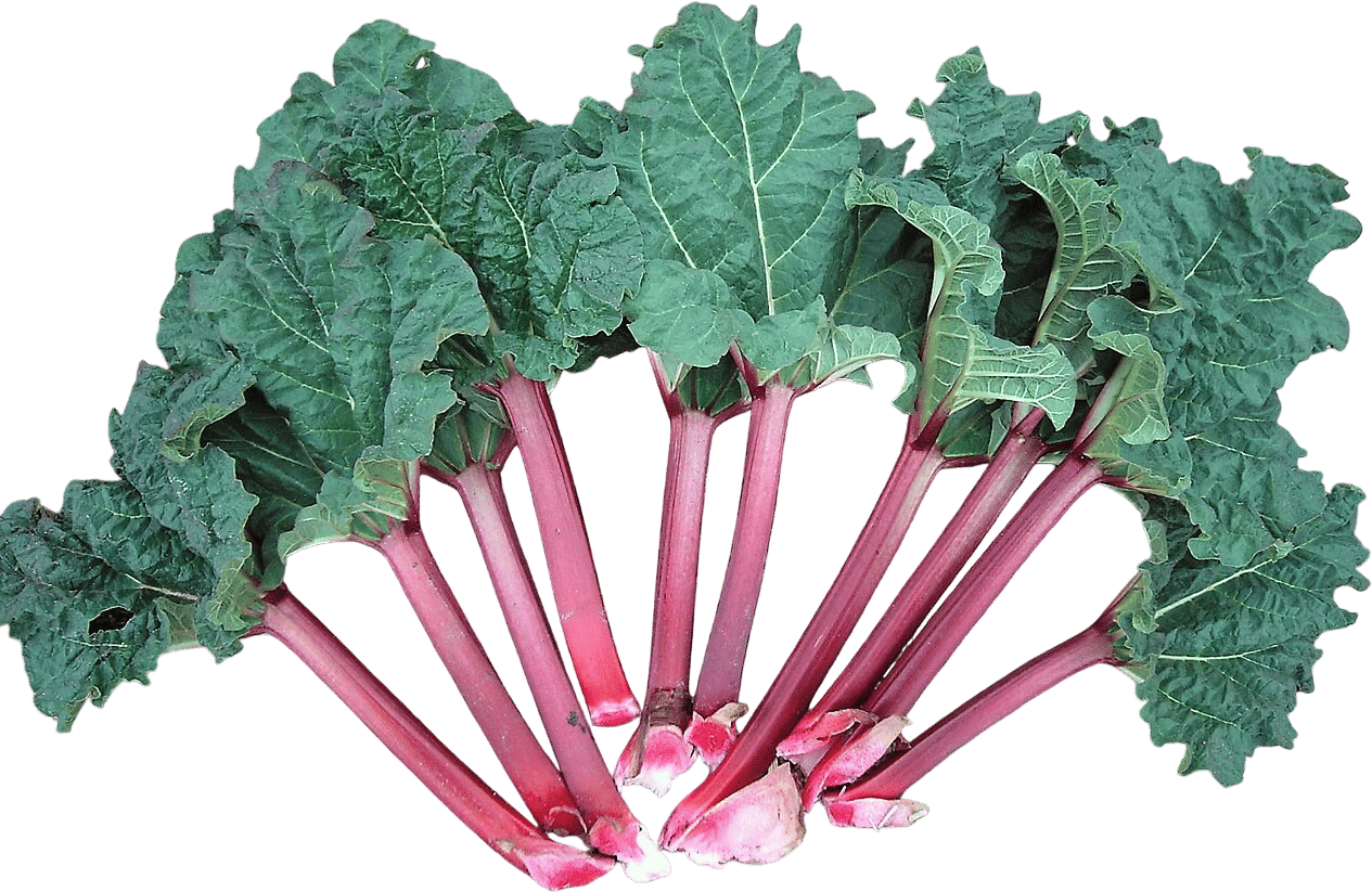 Rhubarb and salt!