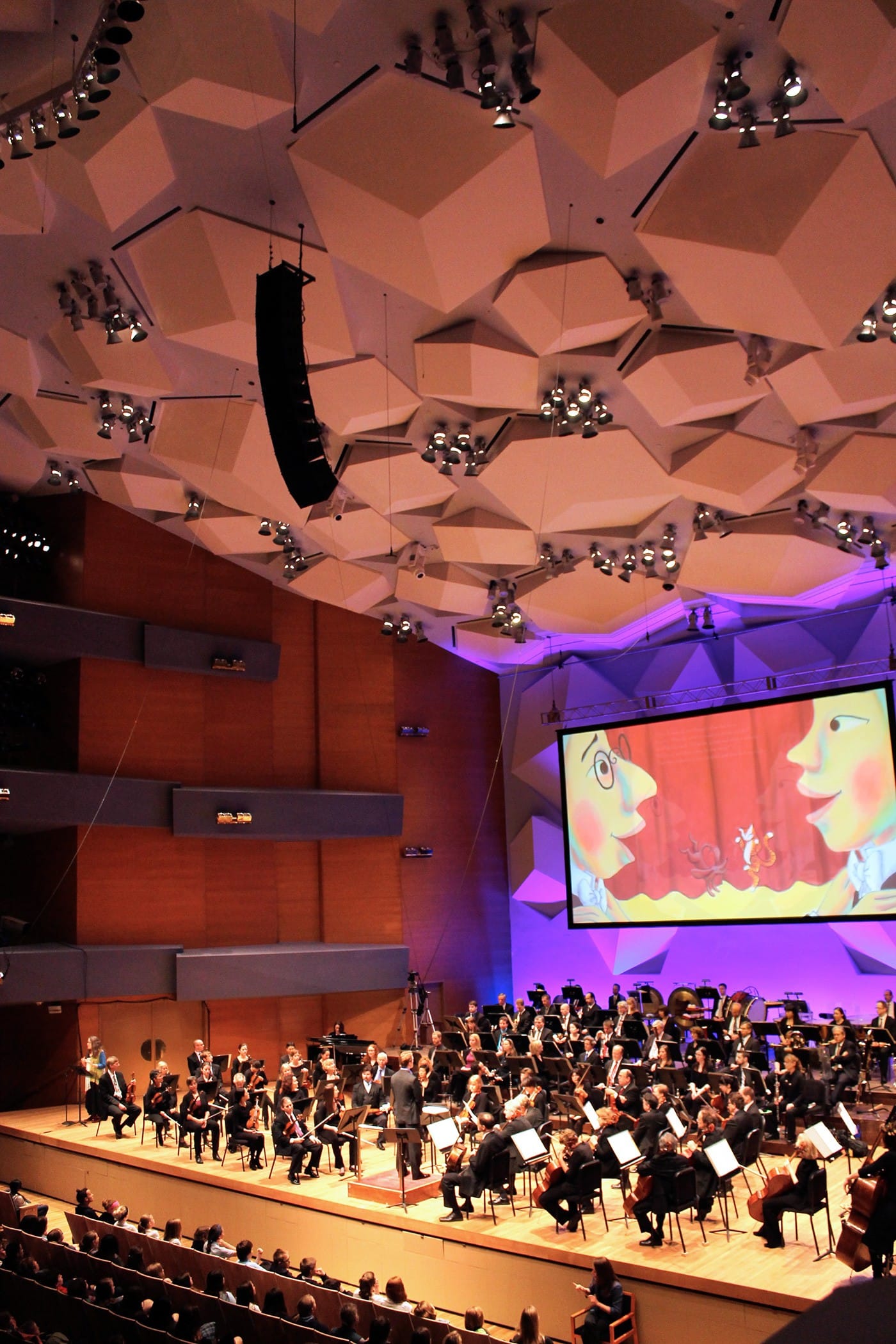 Minnesota Orchestra