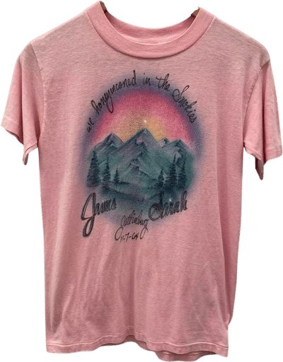 Vintage 70s/80s Airbrush Pink Smoky Mountains T-Shirt