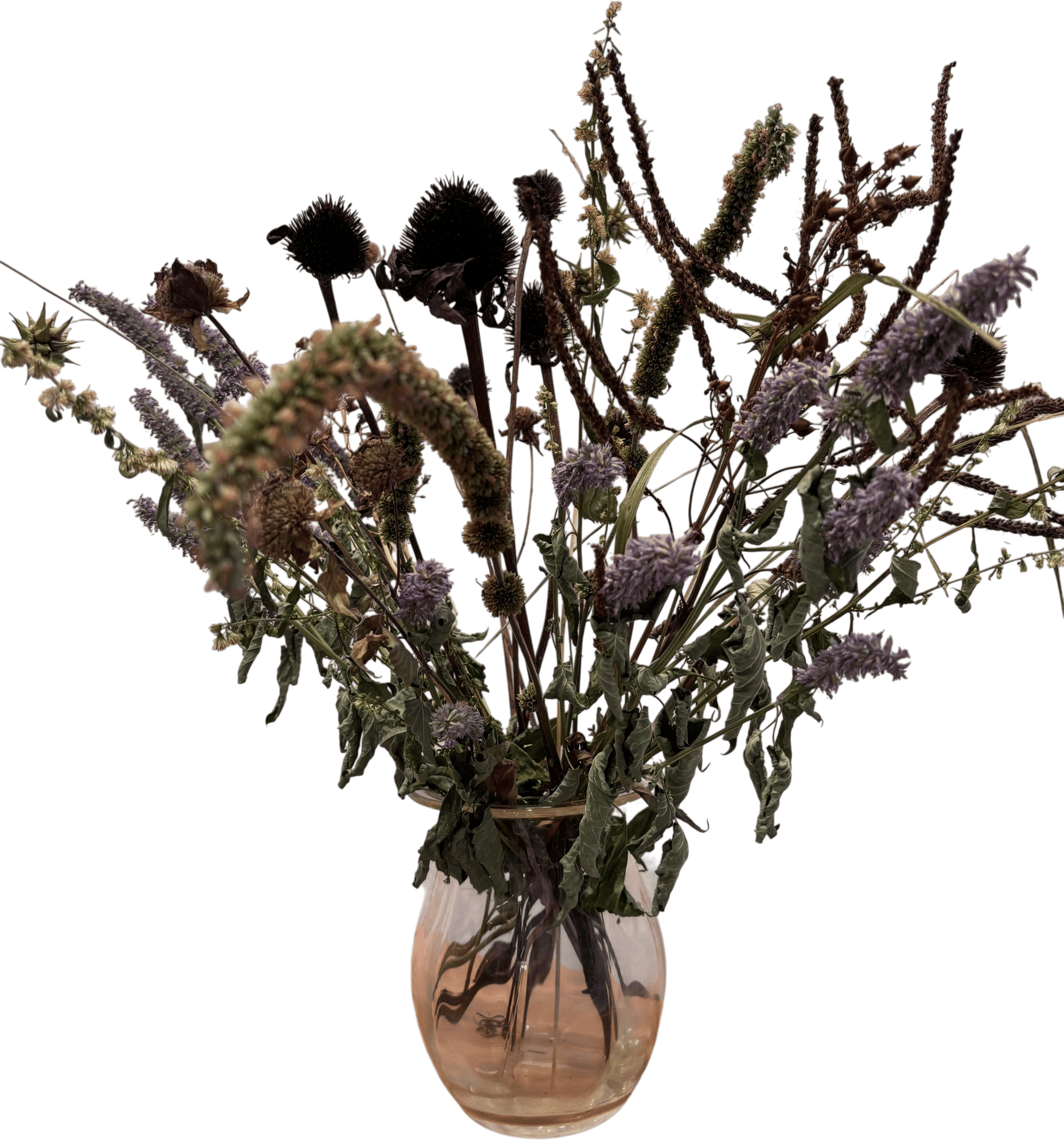 Seed Bouquet