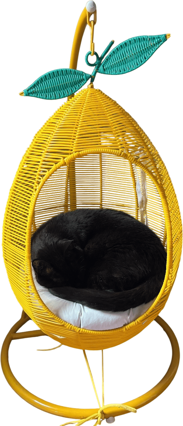 Lemon Swing