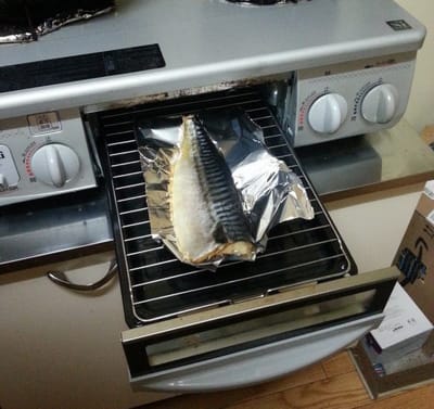 Built-In Fish Grill