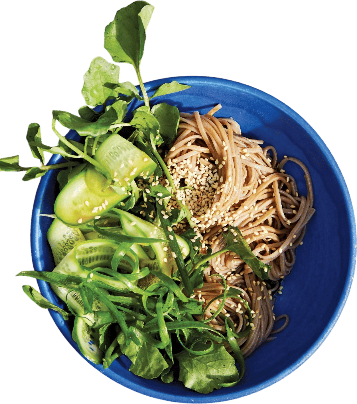 Cold soba with cucumber, watercress and sesame