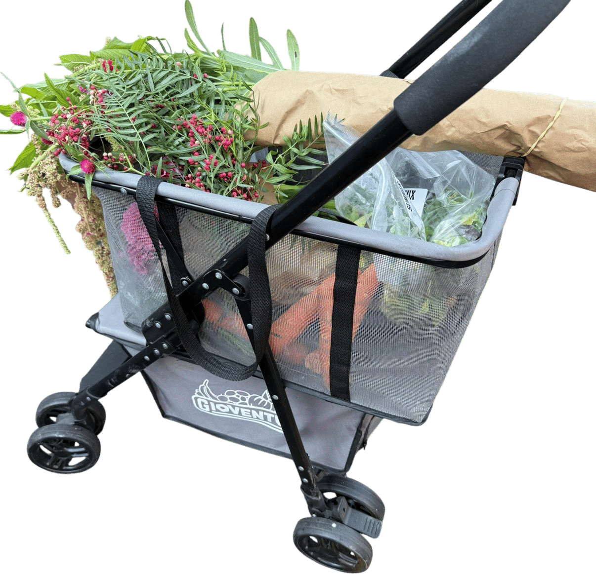 Gioventu Folding Shopping Cart