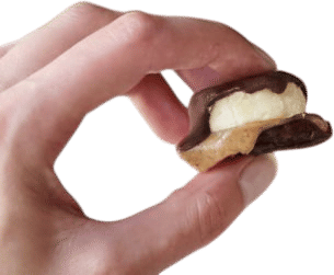 Chocolate Peanut Butter Banana Date Bites