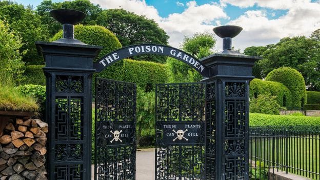 The UK's Deadliest Garden
