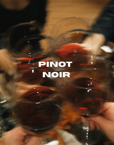 Pinot Noir