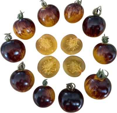 Cosmic Purple Tomato Seeds