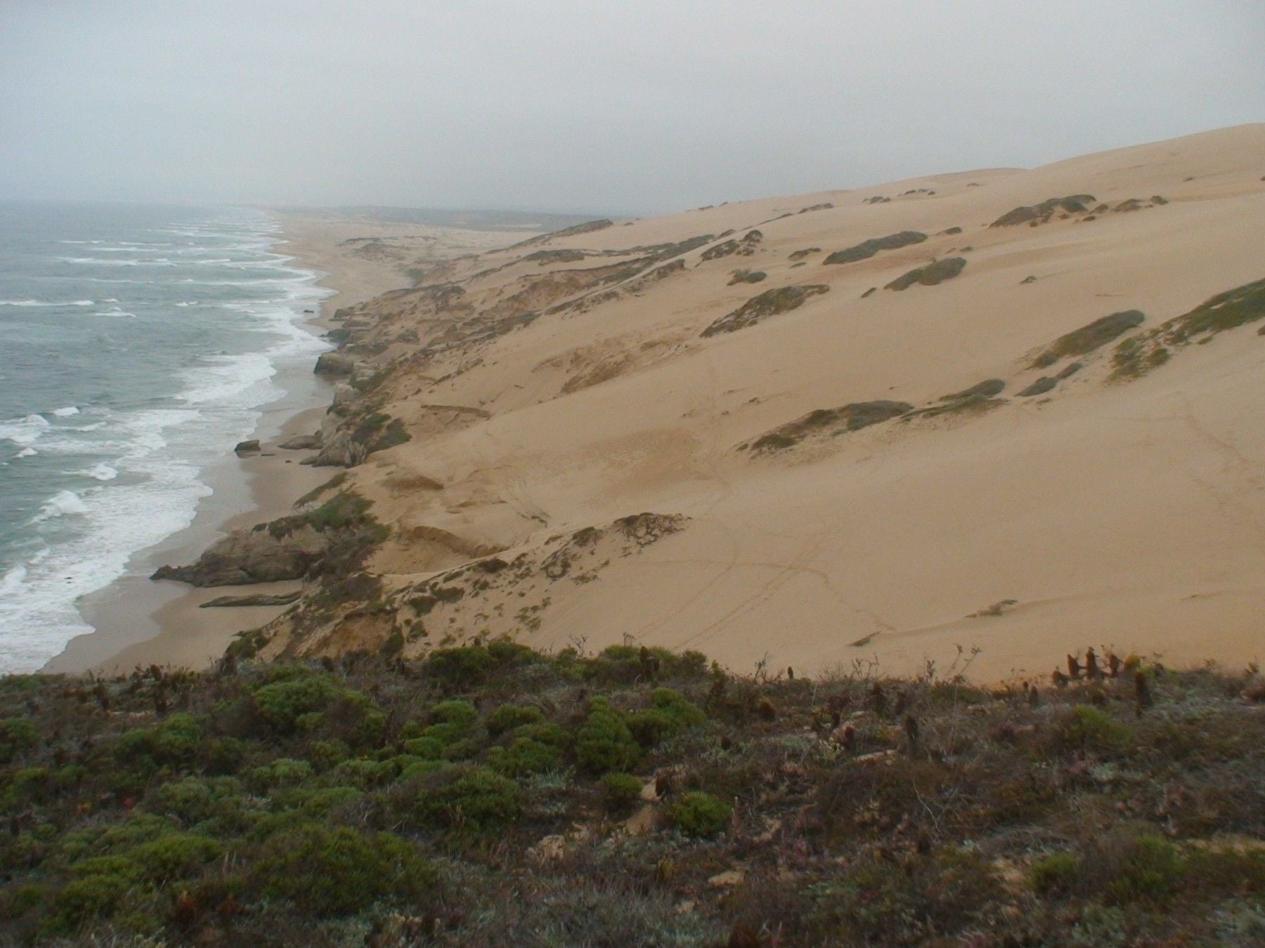 Guadalupe Sand Dunes