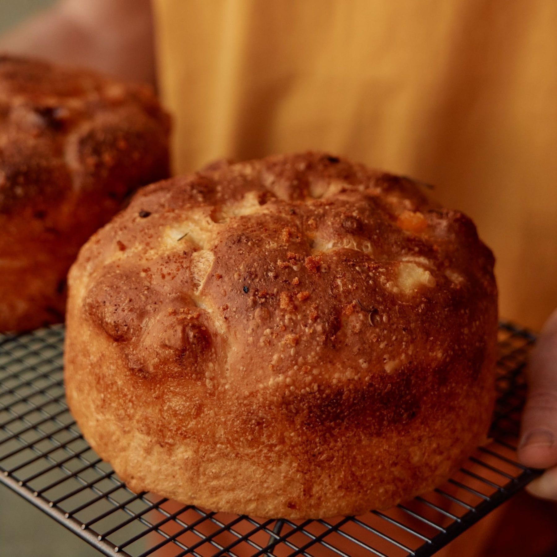 Focaccia with polenta crumb and rosemary