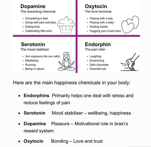Four Happy Hormones