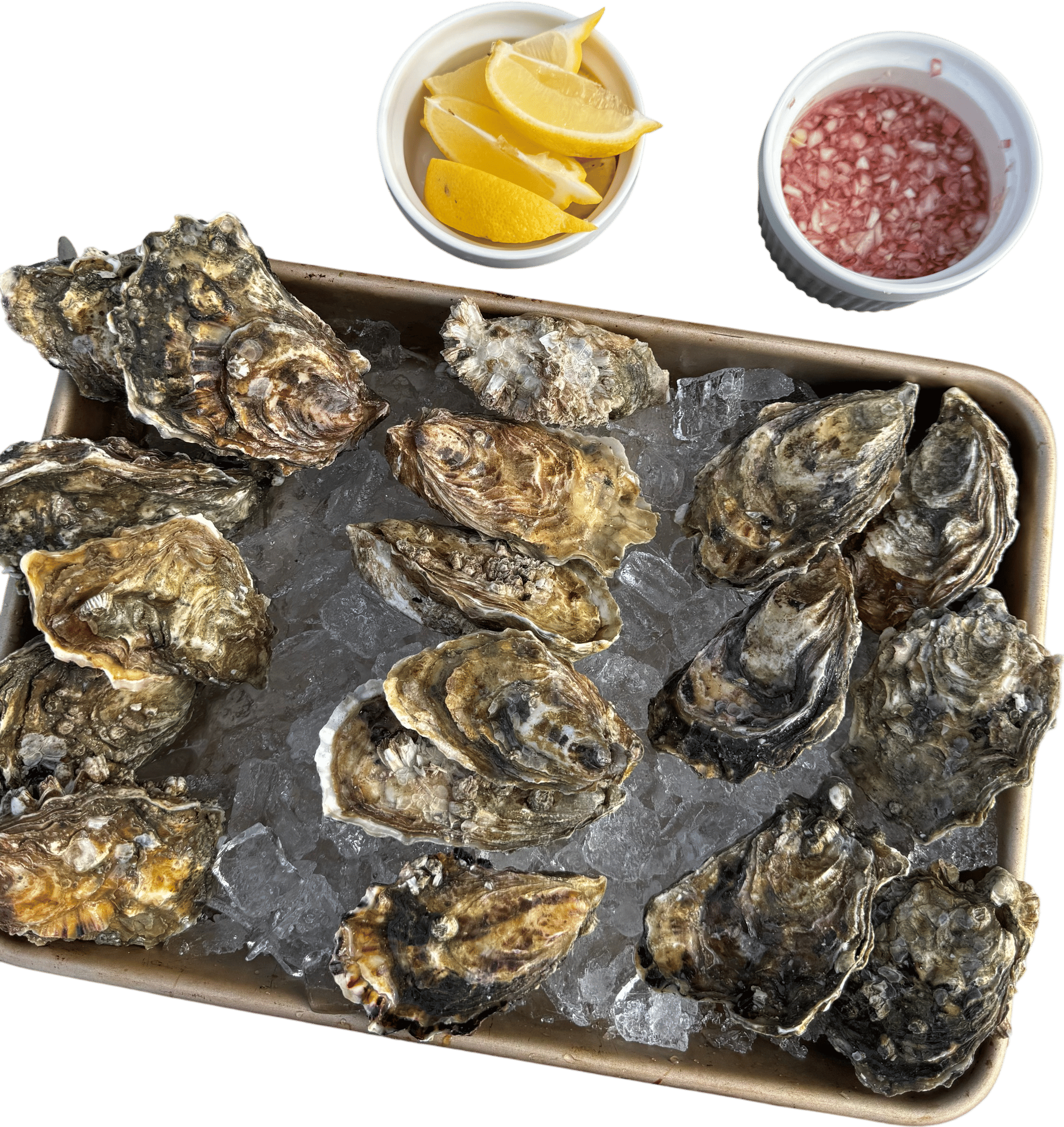Westcott Bay Oysters - San Juan Island