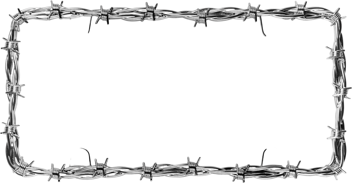 Barbed Wire II License Plate Frame