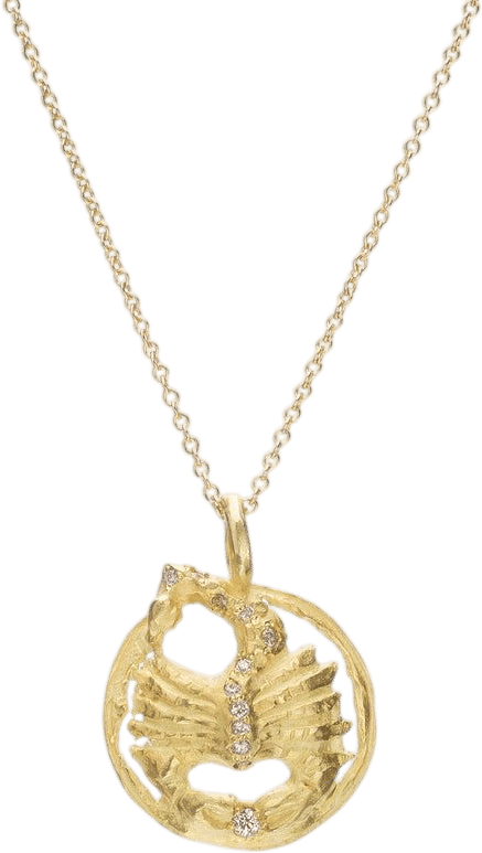 Lux Star Scorpion Necklace