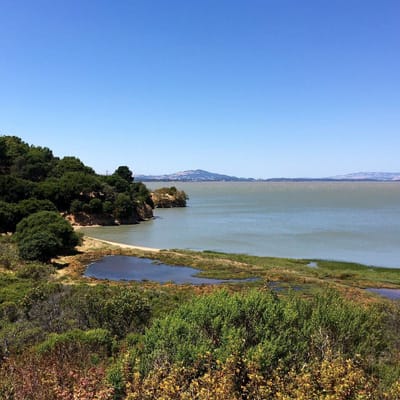 China Camp State Park