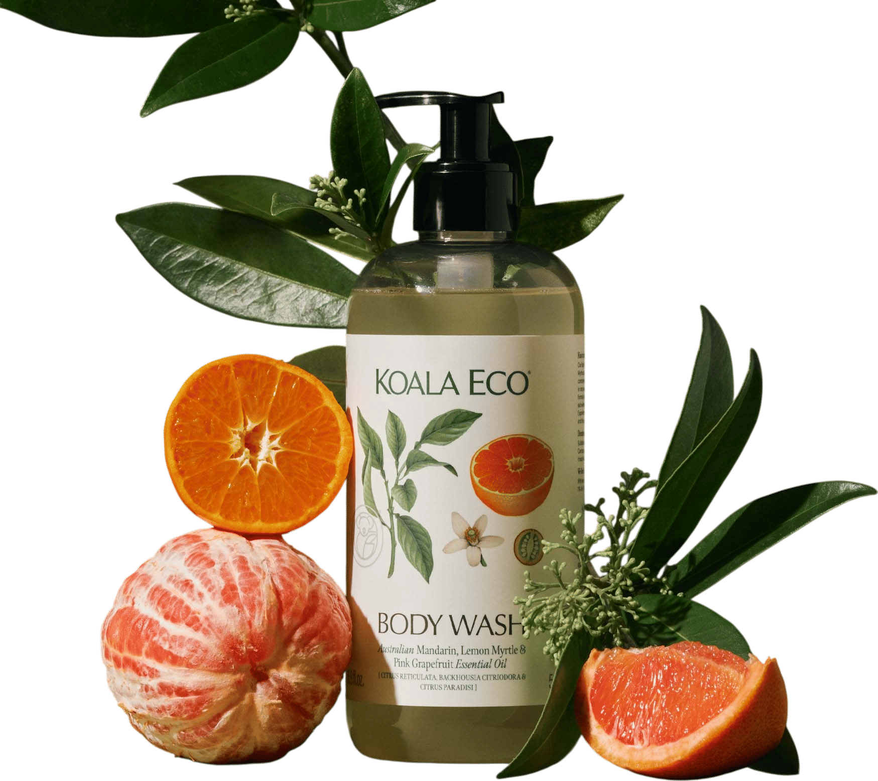 Koala Eco Natural Body Wash
