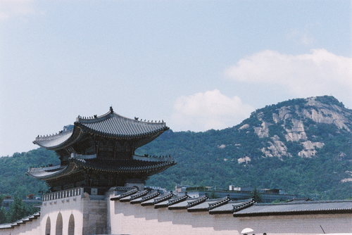 Seoul Sampler