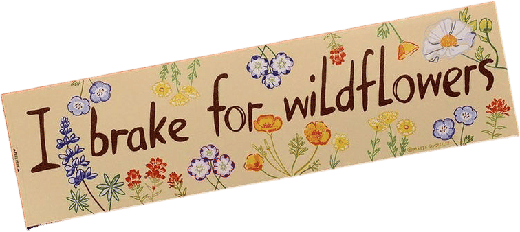I Brake for Wildflowers Bumper Sticker